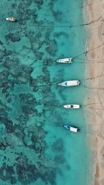 High angle view of people swimming in sea