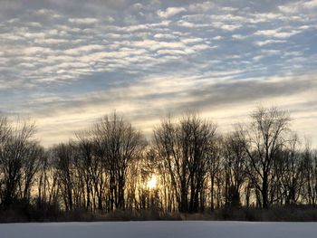 Bare trees on snow covered land during sunset