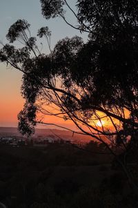 Silhouette trees against sky during sunset