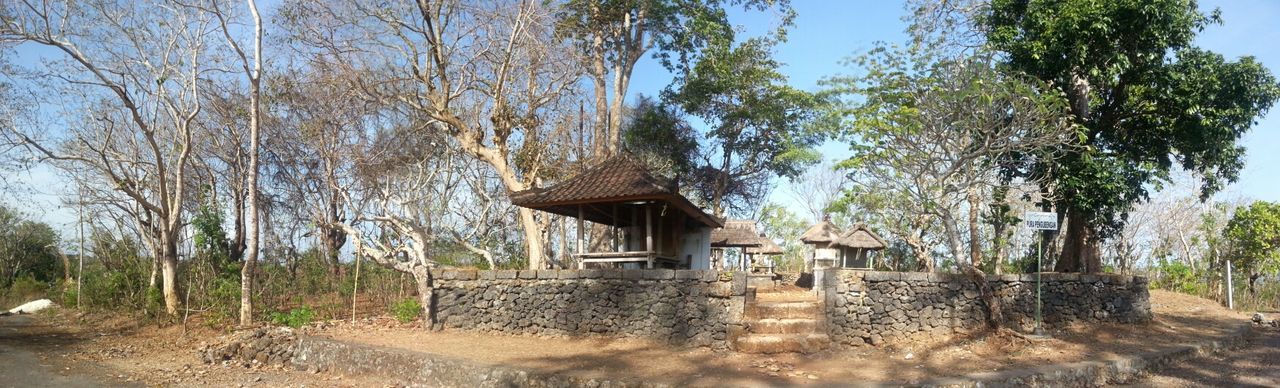 tree, built structure, architecture, building exterior, clear sky, growth, house, sunlight, day, sky, tranquility, thatched roof, nature, rural scene, plant, blue, tranquil scene, hut, outdoors, no people