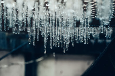 Close-up of icicles against glass during winter