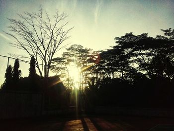 Silhouette trees by building against sky during sunset