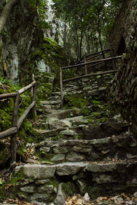 Staircase in forest