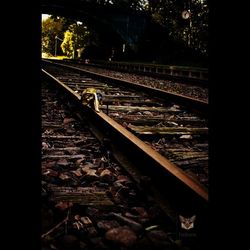 railroad track