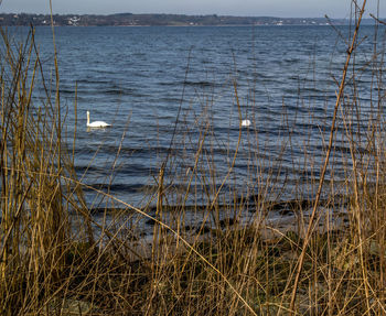 Scenic view of sea