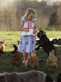 Full length of girl standing by animals