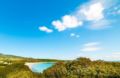 Scenic view of landscape against blue sky