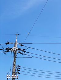 Low angle view of birds on cable against sky