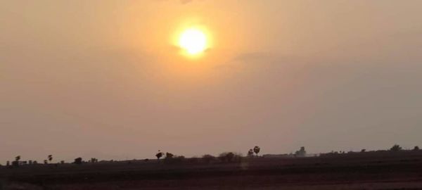 Silhouette trees on field against sky at sunset