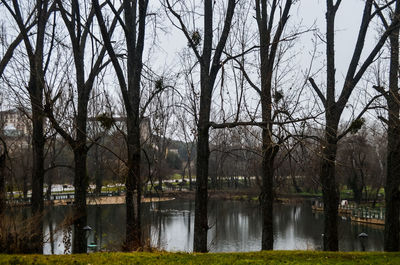 Bare trees by lake against sky