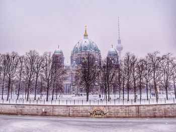 Bare trees in front of building