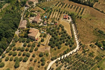 High angle view of agricultural field, toskana, italy