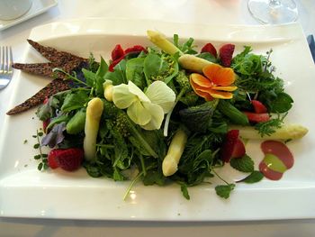 Salad served in plate