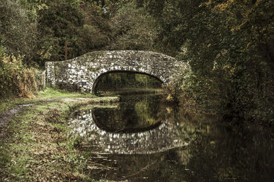 Arch bridge over river against trees