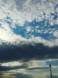 Low angle view of silhouette bird flying against sky
