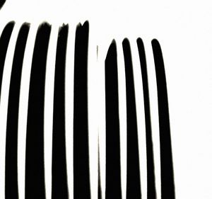 Close-up of over white background