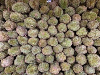 Full frame shot of durian