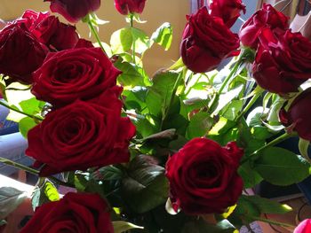 Close-up of red roses