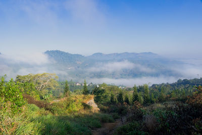 Scenic view of landscape against sky