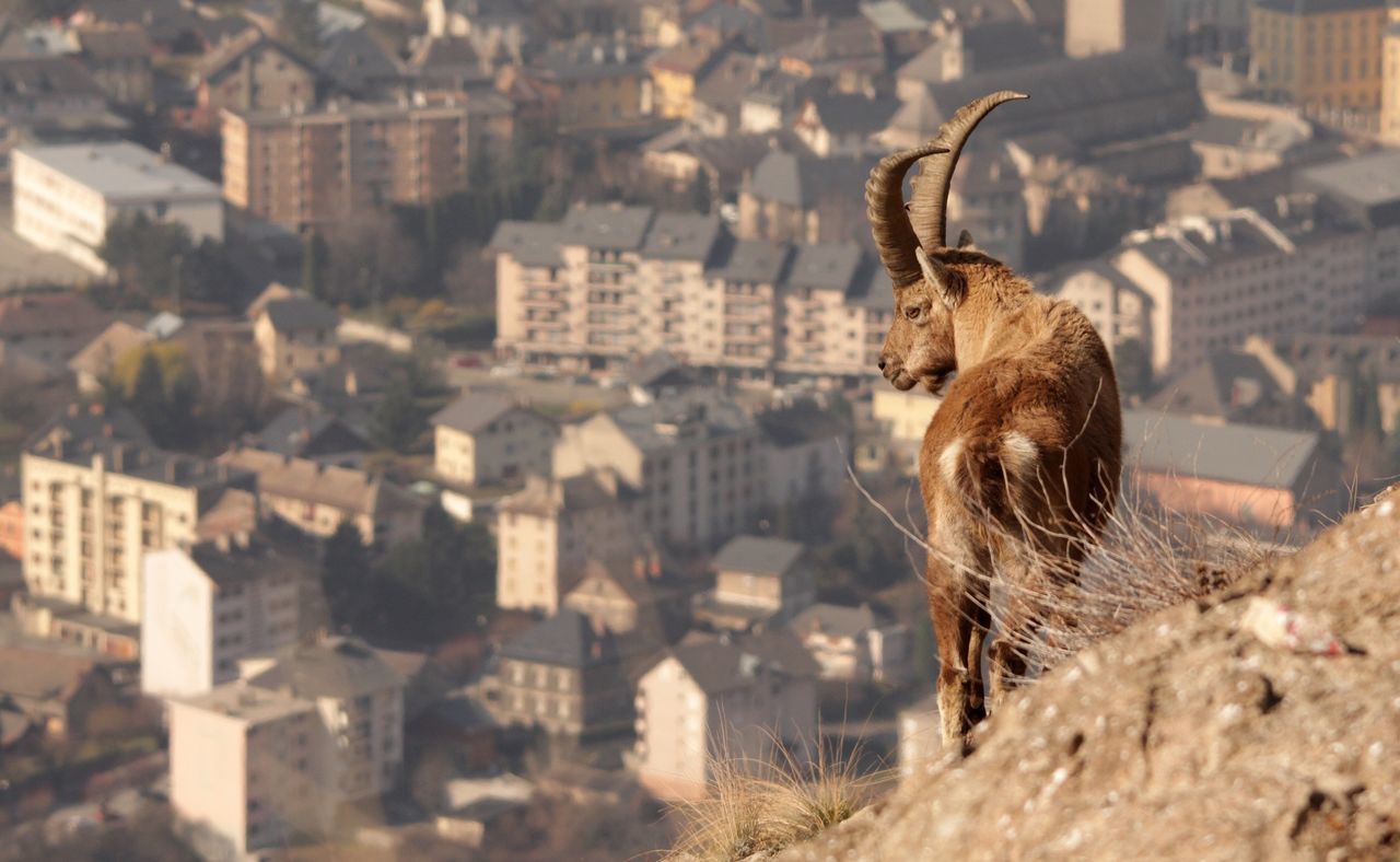 Saint jean de maurienne