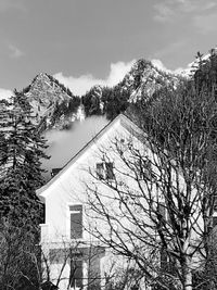 Bare trees and buildings against sky