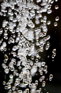 Close-up of water drops on leaves