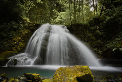Scenic view of waterfall in forest