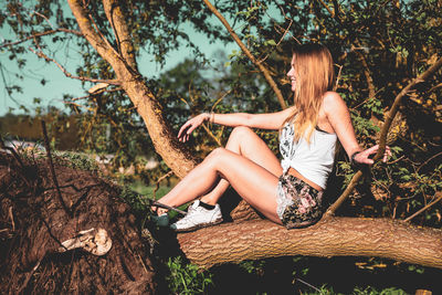 Young woman sitting on branch during sunny day