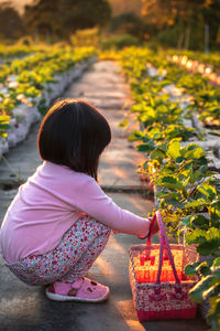 Rear view of woman sitting by flowers