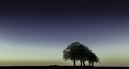 Silhouette of tree against sky