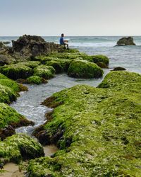 Scenic view of sea against clear sky