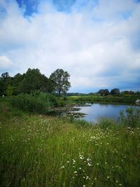 Scenic view of lake against sky