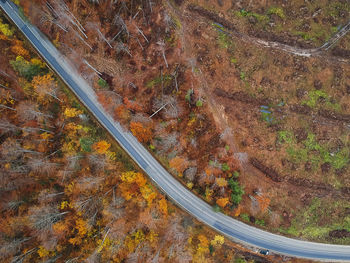 High angle view of road amidst trees on field