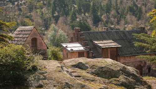 View of houses and trees in forest