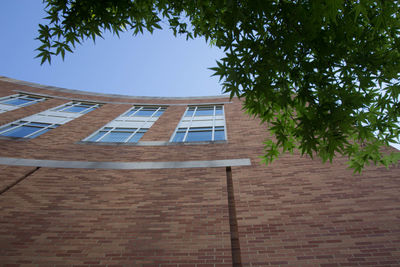 Low angle view of building