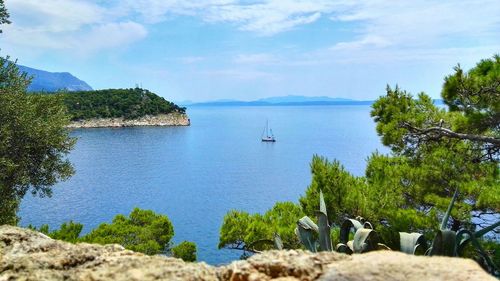 Boat sailing in sea