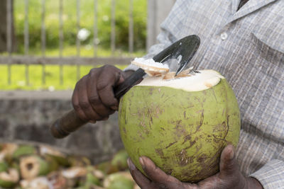 Close-up of hand holding fruit