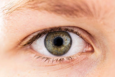 Close-up of a human eye