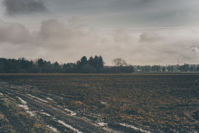 Scenic view of field against sky