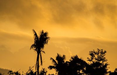 Low angle view of silhouette coconut palm tree against romantic sky