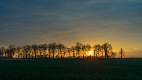 Silhouette trees on field against sky at sunset