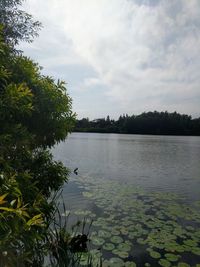 Scenic view of lake against sky