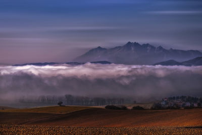 Scenic view of field against sky during foggy weather