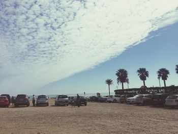 Cars on beach against sky