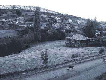 Buildings in city