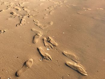 High angle view of footprints on sand at beach