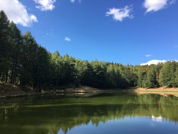 Scenic view of lake in forest against sky