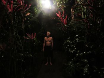 Boy standing by illuminated tree at night