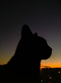 Silhouette of hand against sky during sunset