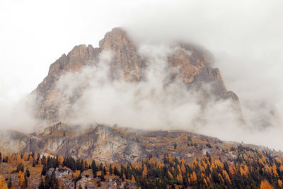 Scenic view of mountain